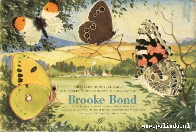 Plakplaatjesboek : British Butterflies. 2