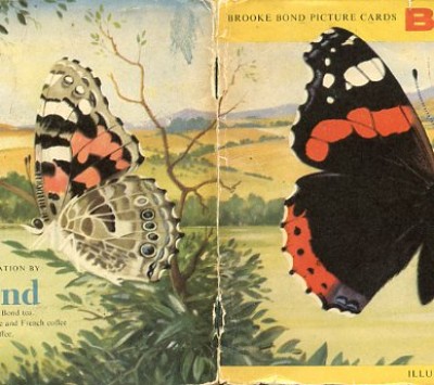 Plakplaatjesboek : British Butterflies. 3