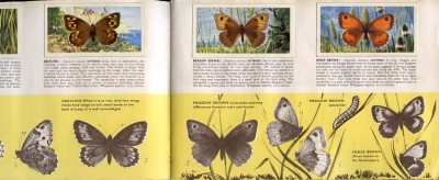 Plakplaatjesboek : British Butterflies. 4