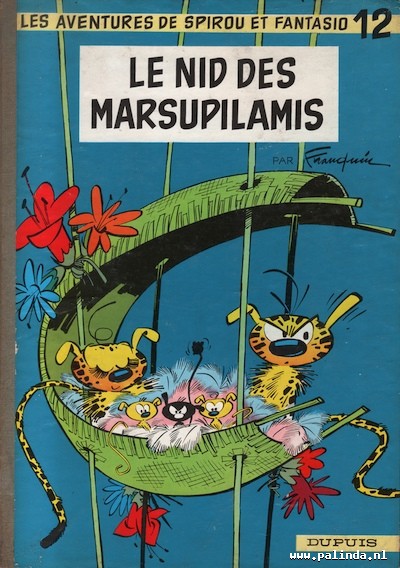  : Le nid des Marsupilamis. 1