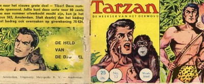 Tarzan, heerser van het oerwoud : In puin en as. 3
