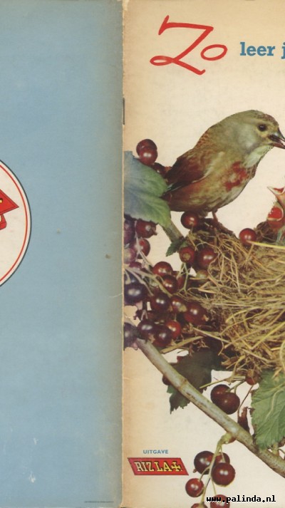 Plakplaatjesboek : Zo leer je vogels kennen I. 3